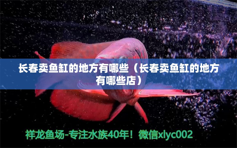 長(zhǎng)春賣(mài)魚(yú)缸的地方有哪些（長(zhǎng)春賣(mài)魚(yú)缸的地方有哪些店） 其他品牌魚(yú)缸