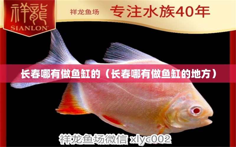 長春哪有做魚缸的（長春哪有做魚缸的地方）