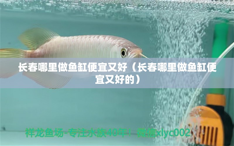 長春哪里做魚缸便宜又好（長春哪里做魚缸便宜又好的）