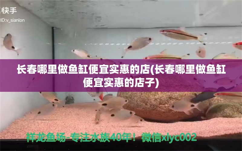 長春哪里做魚缸便宜實惠的店(長春哪里做魚缸便宜實惠的店子) 朱巴利魚