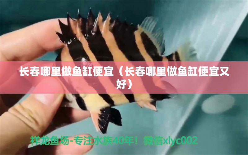 長春哪里做魚缸便宜（長春哪里做魚缸便宜又好） 其他品牌魚缸