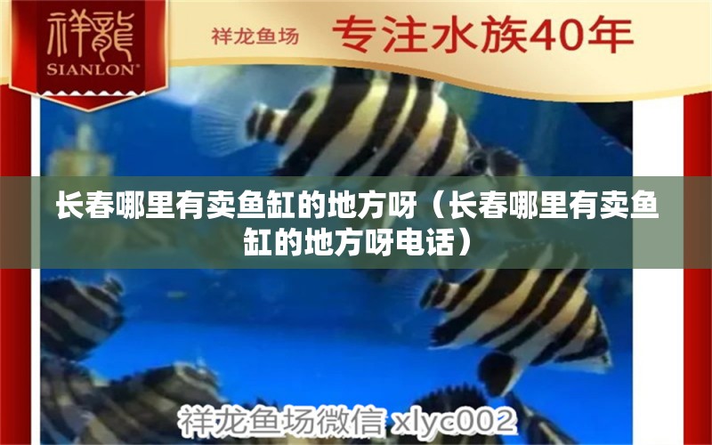 長春哪里有賣魚缸的地方呀（長春哪里有賣魚缸的地方呀電話）