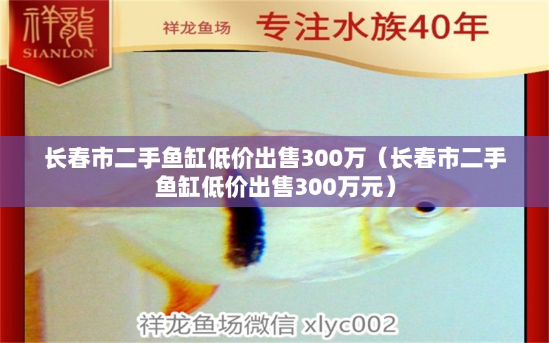 長(zhǎng)春市二手魚(yú)缸低價(jià)出售300萬(wàn)（長(zhǎng)春市二手魚(yú)缸低價(jià)出售300萬(wàn)元）