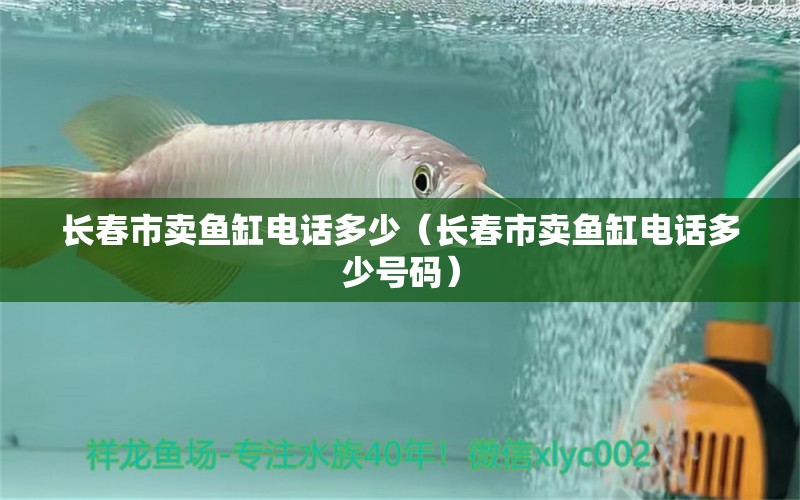 長(zhǎng)春市賣(mài)魚(yú)缸電話(huà)多少（長(zhǎng)春市賣(mài)魚(yú)缸電話(huà)多少號(hào)碼）