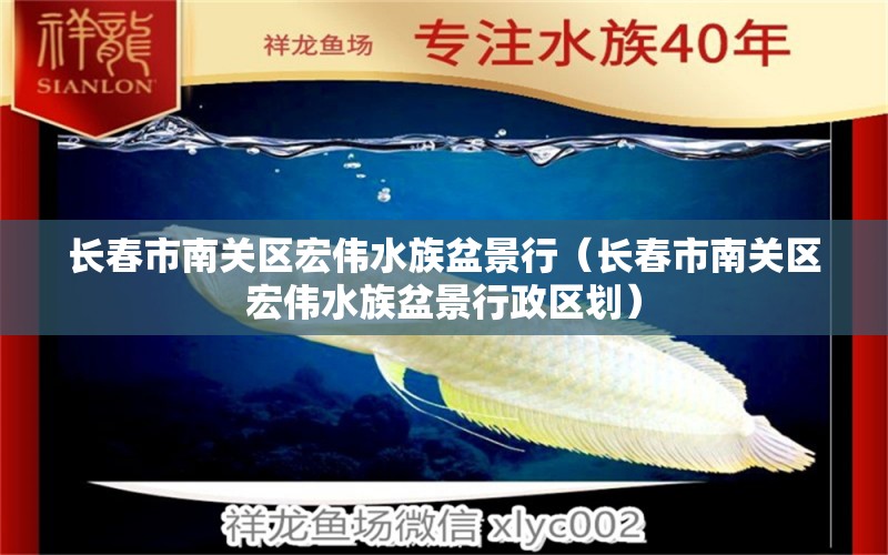 長春市南關區(qū)宏偉水族盆景行（長春市南關區(qū)宏偉水族盆景行政區(qū)劃）