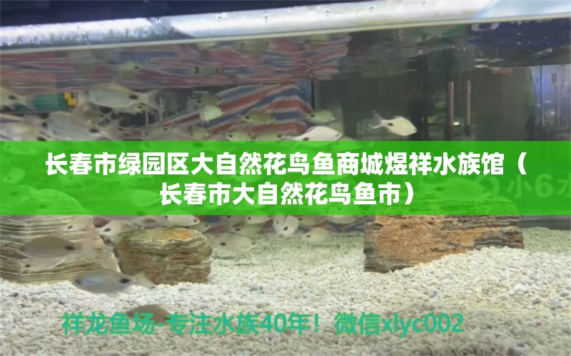 長春市綠園區(qū)大自然花鳥魚商城煜祥水族館（長春市大自然花鳥魚市）