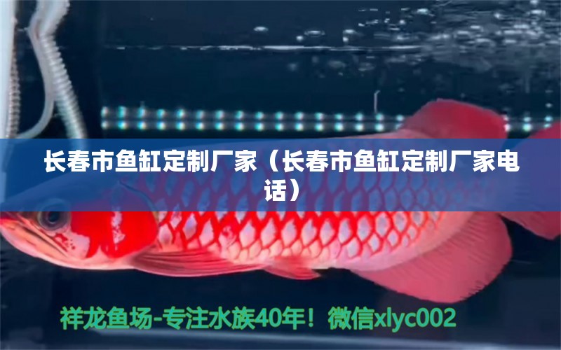 長春市魚缸定制廠家（長春市魚缸定制廠家電話） 其他品牌魚缸