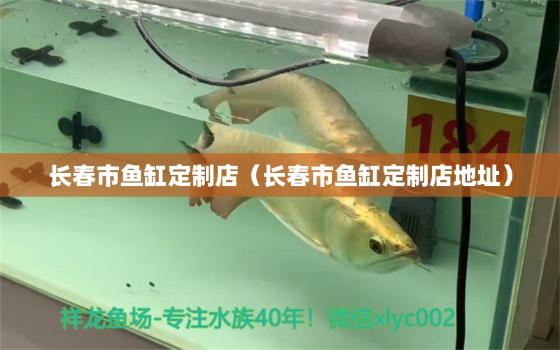 長春市魚缸定制店（長春市魚缸定制店地址） 其他品牌魚缸