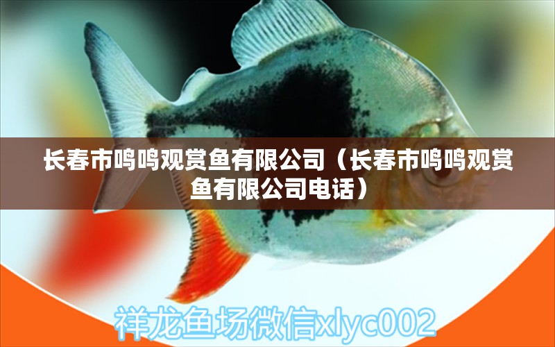 長春市鳴鳴觀賞魚有限公司（長春市鳴鳴觀賞魚有限公司電話）