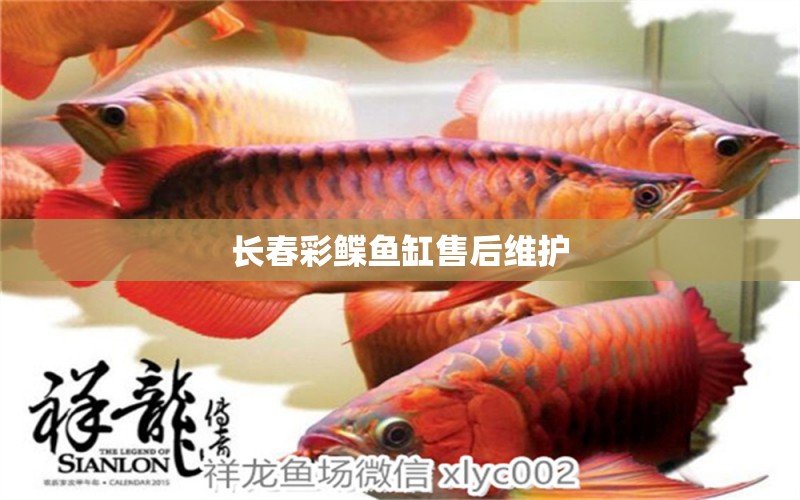 長春彩鰈魚缸售后維護