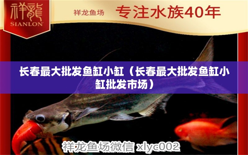 長春最大批發(fā)魚缸小缸（長春最大批發(fā)魚缸小缸批發(fā)市場） 其他品牌魚缸