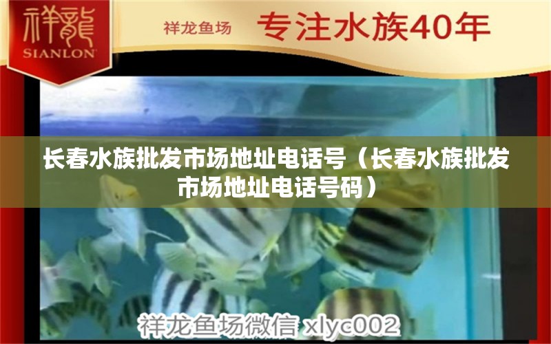 長春水族批發(fā)市場地址電話號（長春水族批發(fā)市場地址電話號碼） 觀賞魚水族批發(fā)市場