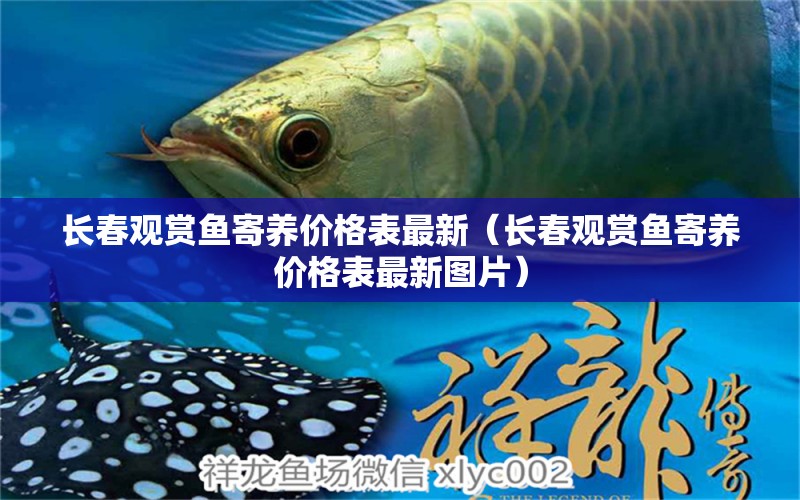 長(zhǎng)春觀賞魚(yú)寄養(yǎng)價(jià)格表最新（長(zhǎng)春觀賞魚(yú)寄養(yǎng)價(jià)格表最新圖片） 祥龍水族醫(yī)院