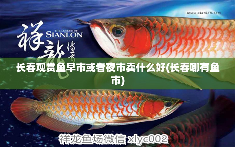 長春觀賞魚早市或者夜市賣什么好(長春哪有魚市) 紅龍專用魚糧飼料