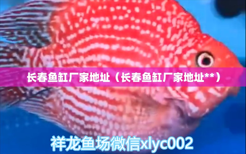 長(zhǎng)春魚(yú)缸廠家地址（長(zhǎng)春魚(yú)缸廠家地址**）