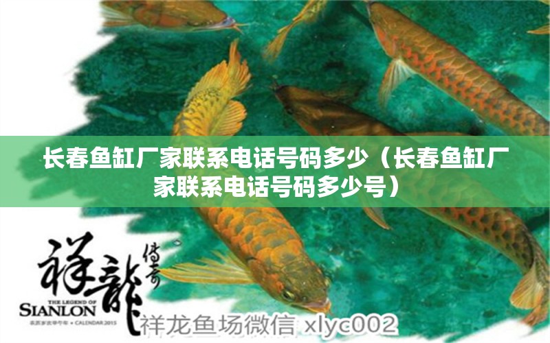 長(zhǎng)春魚(yú)缸廠家聯(lián)系電話號(hào)碼多少（長(zhǎng)春魚(yú)缸廠家聯(lián)系電話號(hào)碼多少號(hào)） 黑金魟魚(yú)