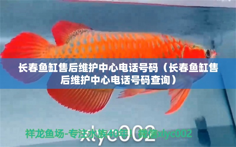 長春魚缸售后維護(hù)中心電話號碼（長春魚缸售后維護(hù)中心電話號碼查詢）