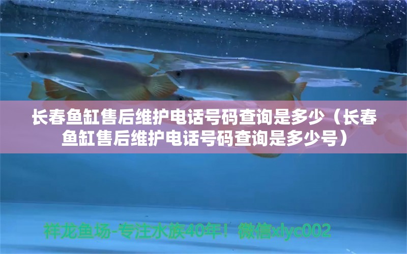 長春魚缸售后維護(hù)電話號碼查詢是多少（長春魚缸售后維護(hù)電話號碼查詢是多少號）