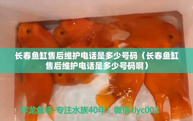 長春魚缸售后維護(hù)電話是多少號碼（長春魚缸售后維護(hù)電話是多少號碼?。? title=