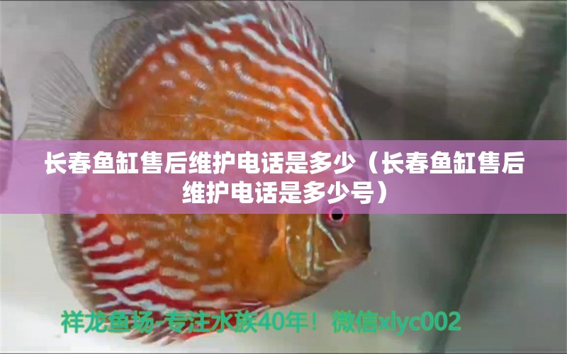 長(zhǎng)春魚缸售后維護(hù)電話是多少（長(zhǎng)春魚缸售后維護(hù)電話是多少號(hào)） 其他品牌魚缸