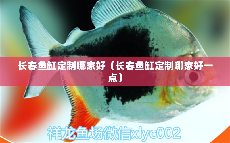 長(zhǎng)春魚缸定制哪家好（長(zhǎng)春魚缸定制哪家好一點(diǎn)） 其他品牌魚缸