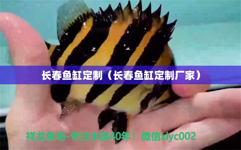 長春魚缸定制（長春魚缸定制廠家） 其他品牌魚缸