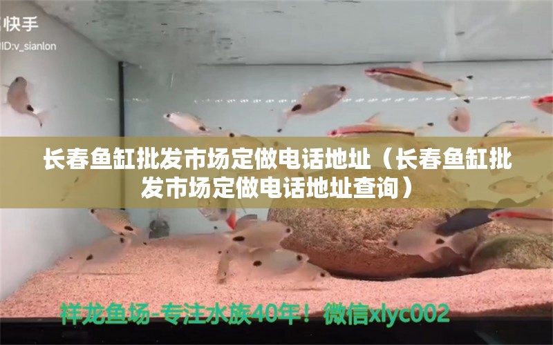 長春魚缸批發(fā)市場(chǎng)定做電話地址（長春魚缸批發(fā)市場(chǎng)定做電話地址查詢） 廣州水族批發(fā)市場(chǎng)