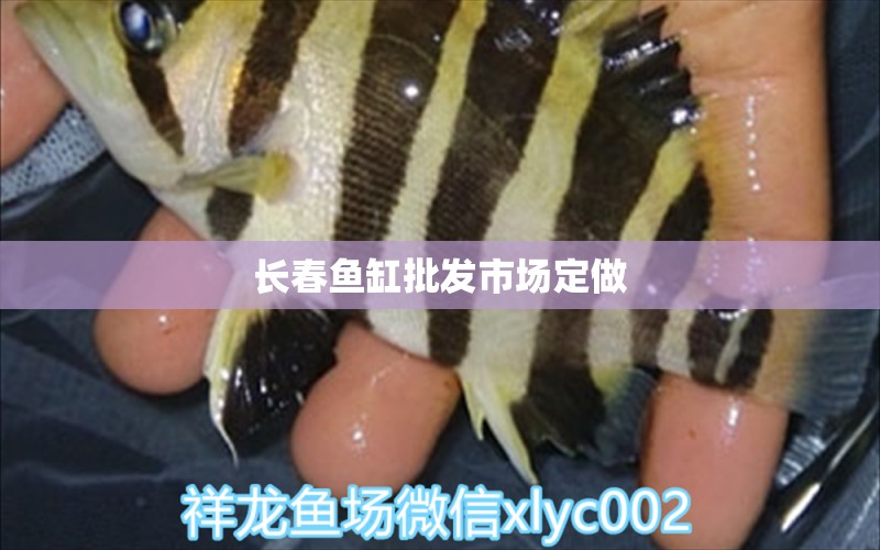 長春魚缸批發(fā)市場定做