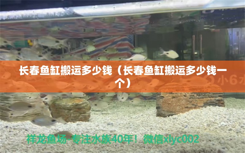 長(zhǎng)春魚(yú)缸搬運(yùn)多少錢(qián)（長(zhǎng)春魚(yú)缸搬運(yùn)多少錢(qián)一個(gè)） 祥龍水族醫(yī)院