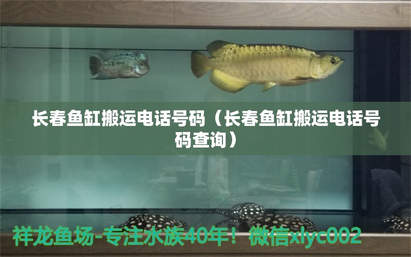 長春魚缸搬運電話號碼（長春魚缸搬運電話號碼查詢）