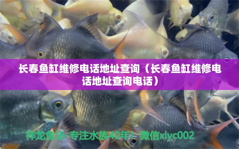 長(zhǎng)春魚(yú)缸維修電話地址查詢（長(zhǎng)春魚(yú)缸維修電話地址查詢電話）