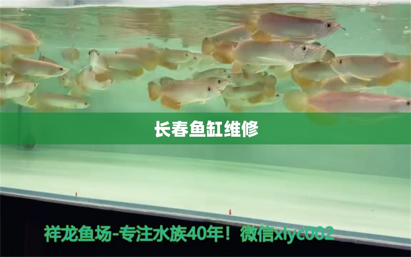 長春魚缸維修