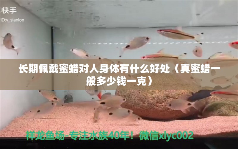 長期佩戴蜜蠟對人身體有什么好處（真蜜蠟一般多少錢一克）