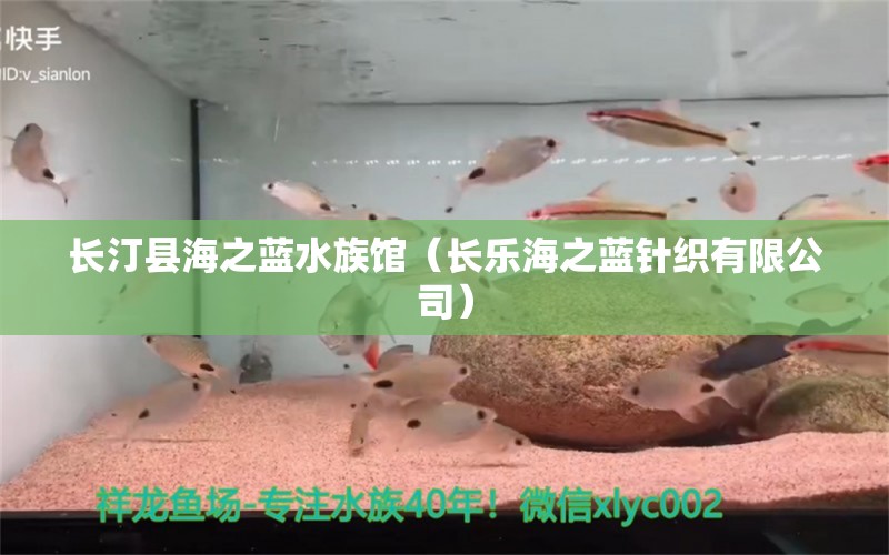 長(zhǎng)汀縣海之藍(lán)水族館（長(zhǎng)樂海之藍(lán)針織有限公司）