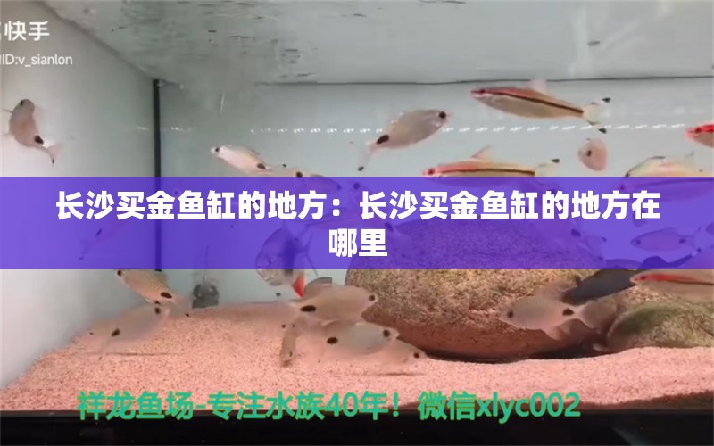 長(zhǎng)沙買金魚缸的地方：長(zhǎng)沙買金魚缸的地方在哪里