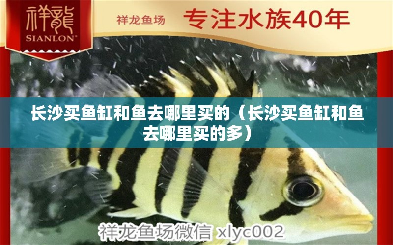 長沙買魚缸和魚去哪里買的（長沙買魚缸和魚去哪里買的多） 其他品牌魚缸