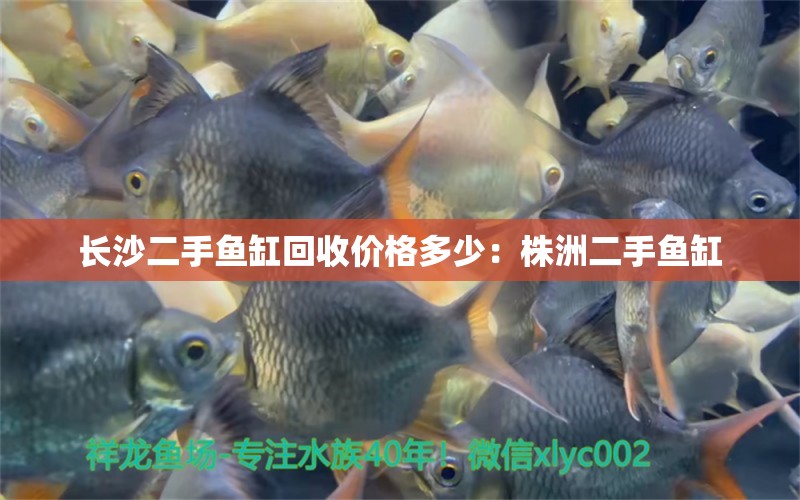 長(zhǎng)沙二手魚缸回收價(jià)格多少：株洲二手魚缸