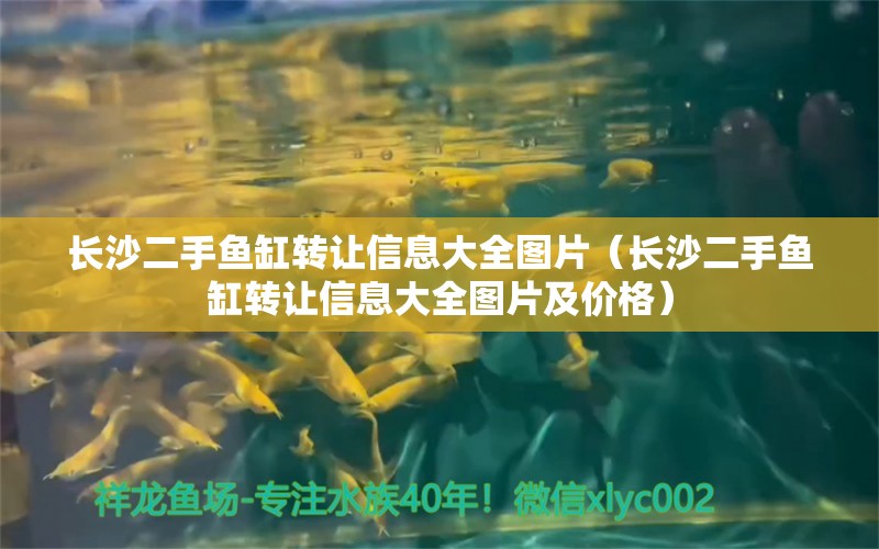 長沙二手魚缸轉(zhuǎn)讓信息大全圖片（長沙二手魚缸轉(zhuǎn)讓信息大全圖片及價格） 招財戰(zhàn)船魚