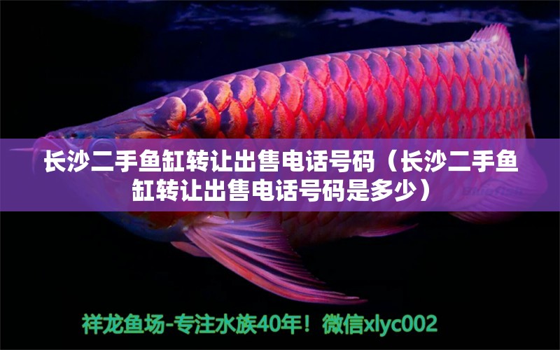 長(zhǎng)沙二手魚缸轉(zhuǎn)讓出售電話號(hào)碼（長(zhǎng)沙二手魚缸轉(zhuǎn)讓出售電話號(hào)碼是多少）