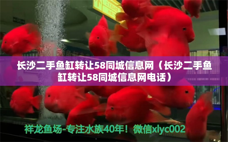 長沙二手魚缸轉(zhuǎn)讓58同城信息網(wǎng)（長沙二手魚缸轉(zhuǎn)讓58同城信息網(wǎng)電話）