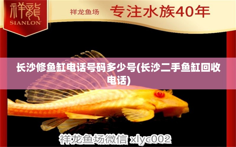 長沙修魚缸電話號(hào)碼多少號(hào)(長沙二手魚缸回收電話) 魚缸水泵