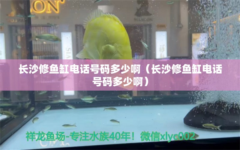 長沙修魚缸電話號碼多少?。ㄩL沙修魚缸電話號碼多少?。? title=