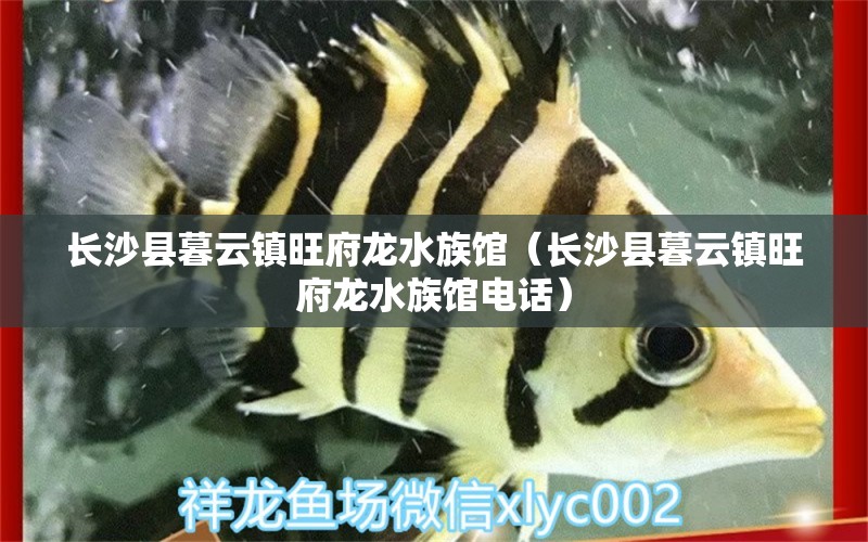 長沙縣暮云鎮(zhèn)旺府龍水族館（長沙縣暮云鎮(zhèn)旺府龍水族館電話）