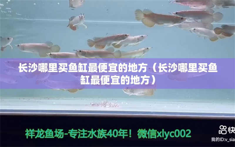 長沙哪里買魚缸最便宜的地方（長沙哪里買魚缸最便宜的地方）