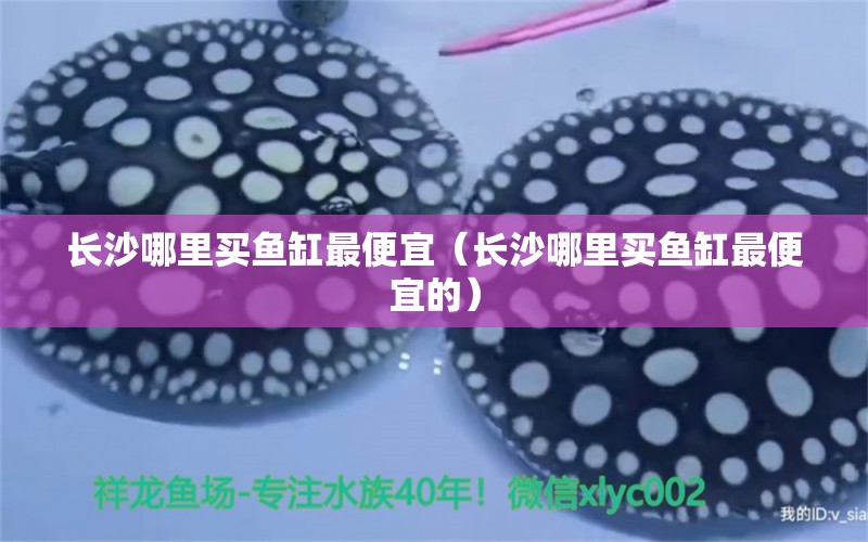 長沙哪里買魚缸最便宜（長沙哪里買魚缸最便宜的） 其他品牌魚缸