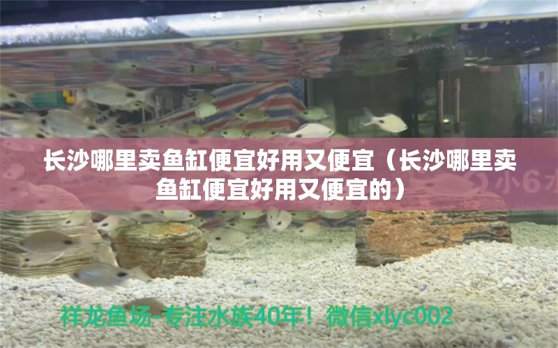 長(zhǎng)沙哪里賣魚缸便宜好用又便宜（長(zhǎng)沙哪里賣魚缸便宜好用又便宜的）