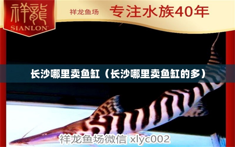 長沙哪里賣魚缸（長沙哪里賣魚缸的多） 其他品牌魚缸