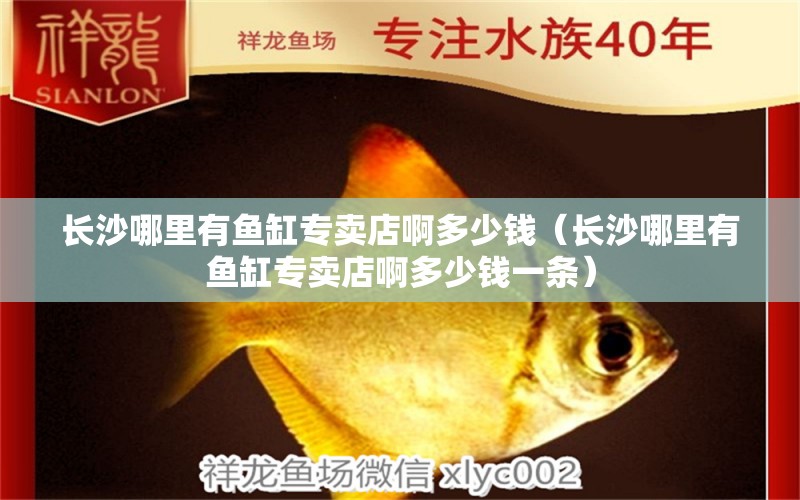 長沙哪里有魚缸專賣店啊多少錢（長沙哪里有魚缸專賣店啊多少錢一條）