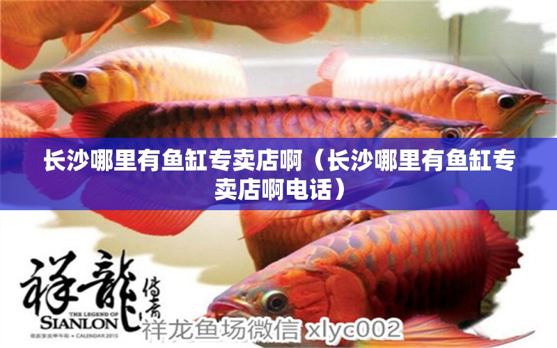 長沙哪里有魚缸專賣店?。ㄩL沙哪里有魚缸專賣店啊電話）