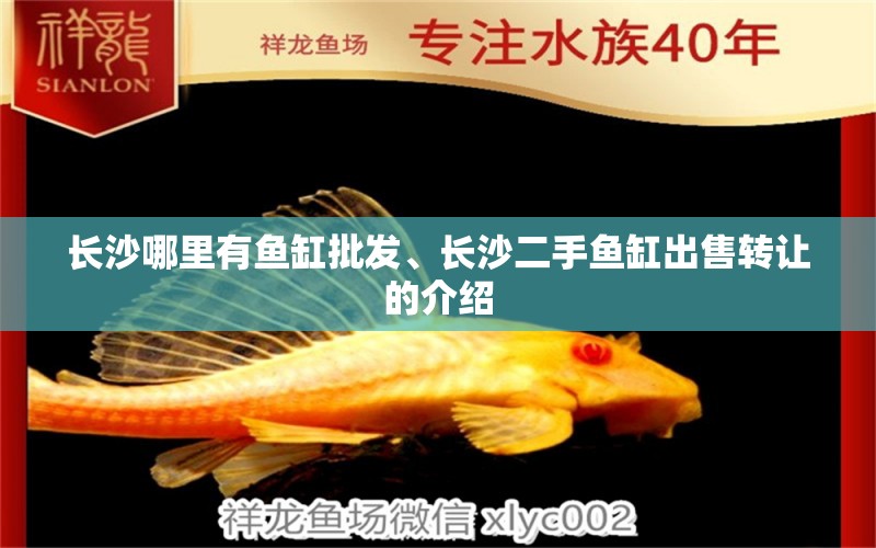 長(zhǎng)沙哪里有魚(yú)缸批發(fā)、長(zhǎng)沙二手魚(yú)缸出售轉(zhuǎn)讓的介紹 溫控設(shè)備